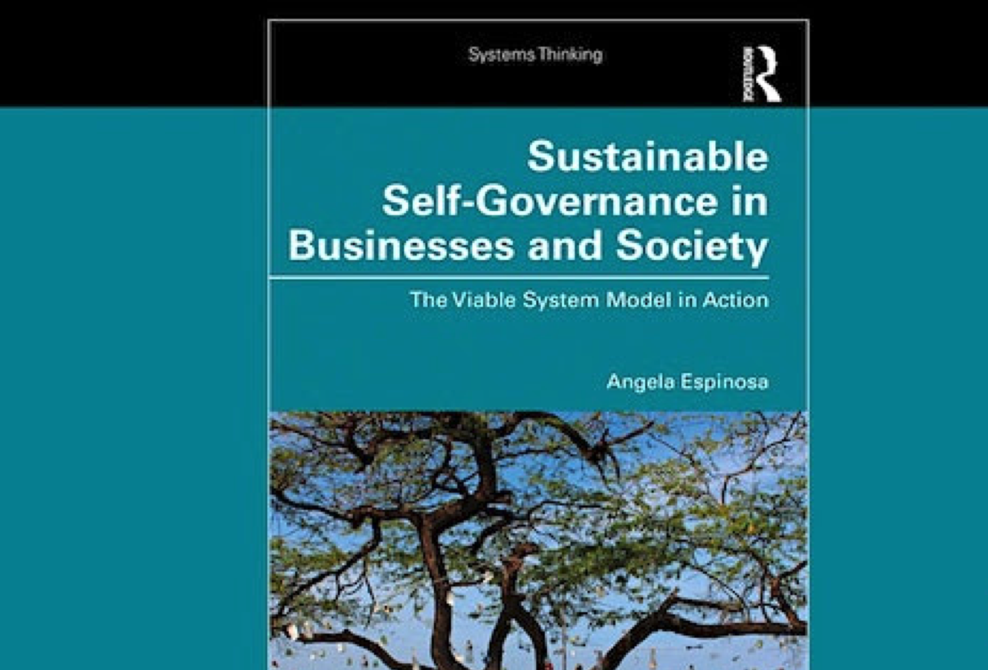 ASC Series: Sustainable Self-governance – VSM in Action